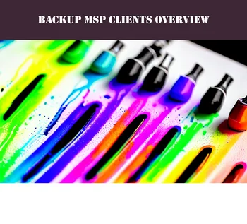 Overview Of Backups For MSPs